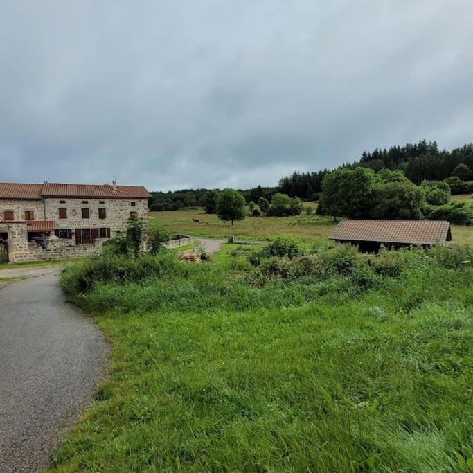 Maison De Campagne Villa Usson-en-Forez Esterno foto